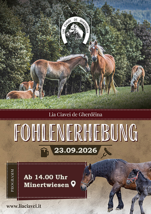 Fohlenerhebung 2026